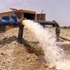 آقای بشارت شهر رفسنجان